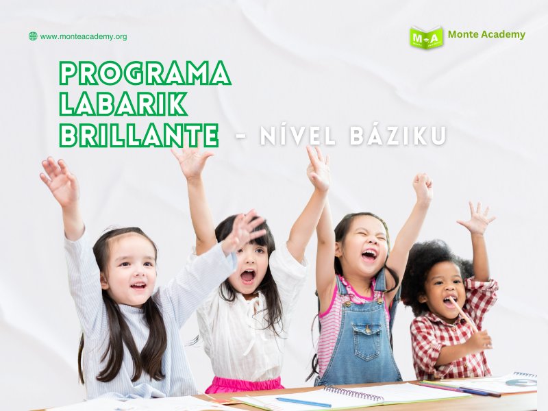 PROGRAMA LABARIK BRILLANTE - NÍVEL BAZIKU (PLB-B)